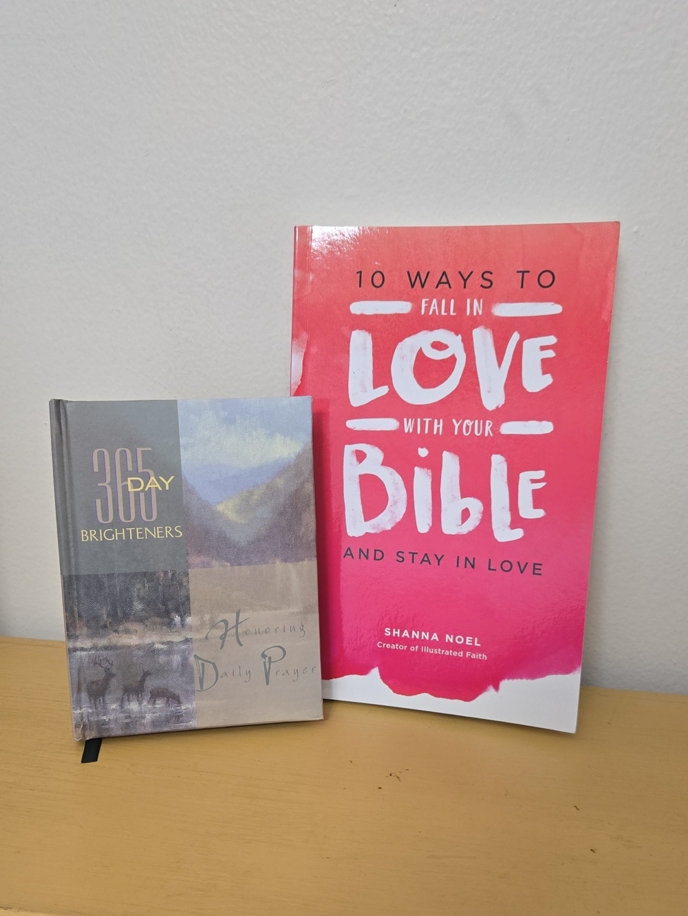 365 Day Devotional & 10 Ways to Fall in Love With Your Bible. Preowned.